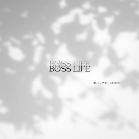 Boss Life | Boomplay Music