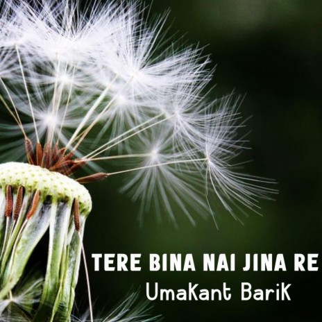 Tere Bina Nai Jina Re | Boomplay Music