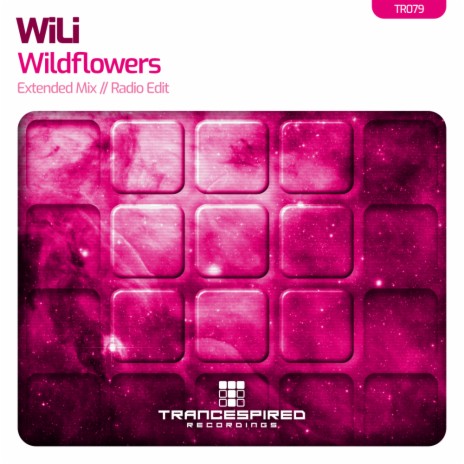 Wildflowers (Radio Edit)
