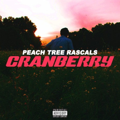 Cranberry | Boomplay Music