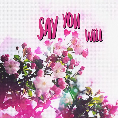 Say You Will | Boomplay Music