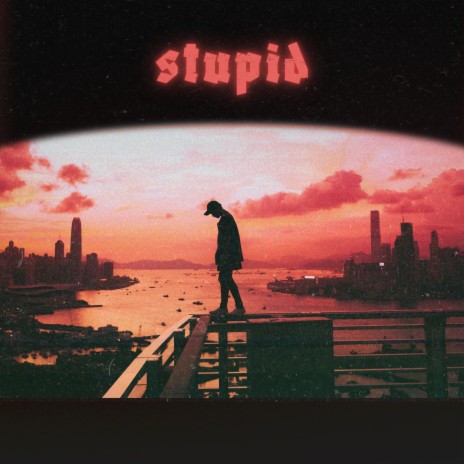 stupid | Boomplay Music