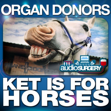 Ket Is for Horses (Original Mix)