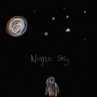 Night Sky