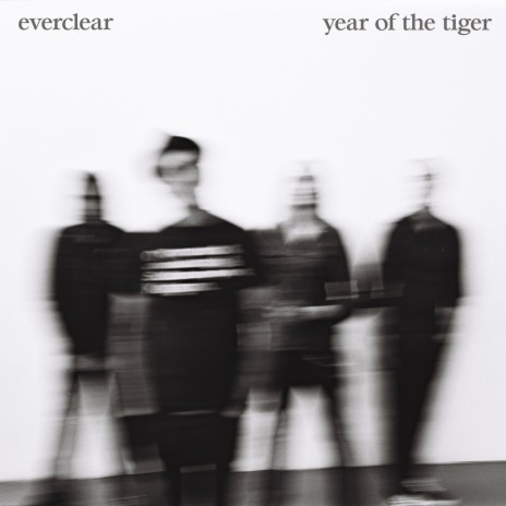 Year of the Tiger | Boomplay Music