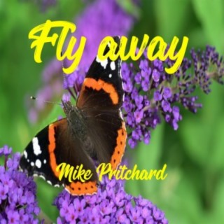 Fly away