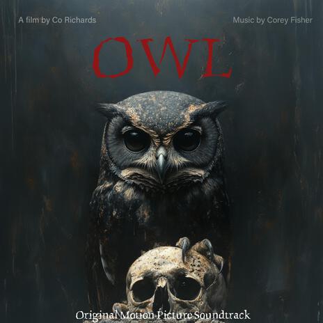 Owl (Credits) | Boomplay Music