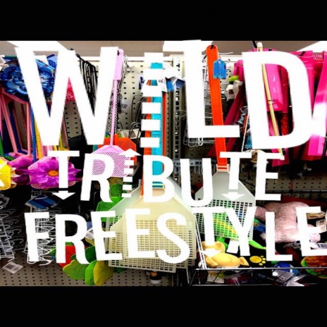 WiLD Tribute (feat. Passion Hi-Fi) | Boomplay Music