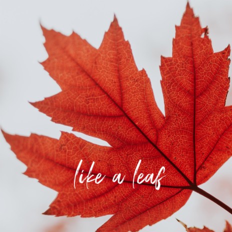 Like a Leaf | Boomplay Music