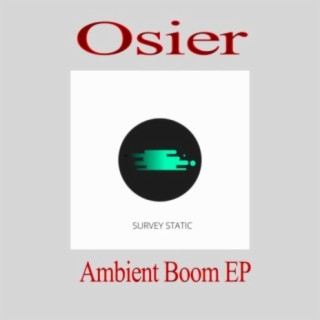 Ambient Boom EP