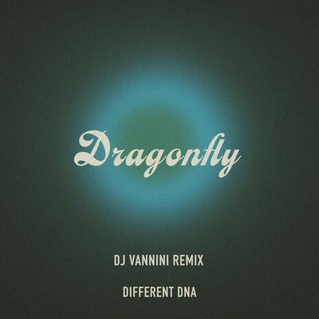 Dragonfly (DJ Vannini Remix Extended version) ft. DJ Vannini | Boomplay Music