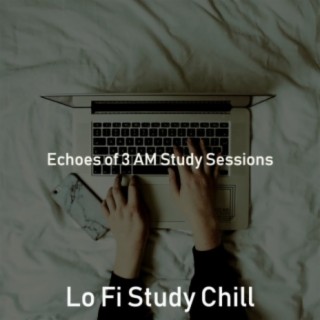 Echoes of 3 AM Study Sessions