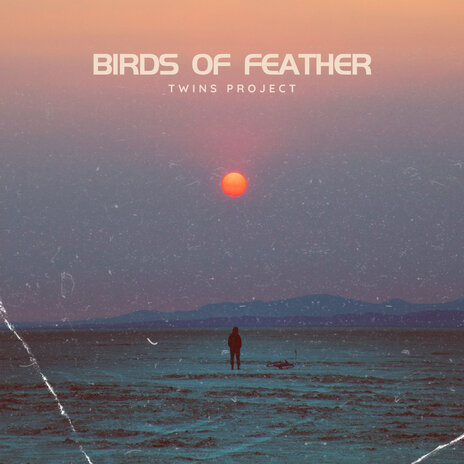 Birds of a Feather | Boomplay Music