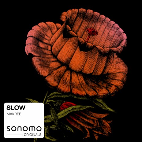 Slow (Extended Mix) | Boomplay Music