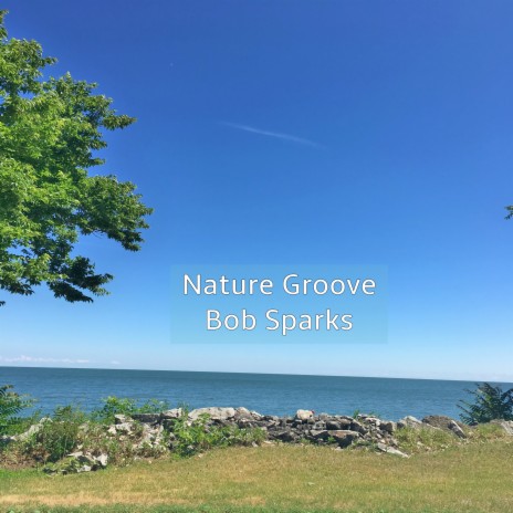 Nature Groove | Boomplay Music