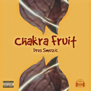 Chakra Fruit