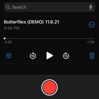 Butterflies (Demo)