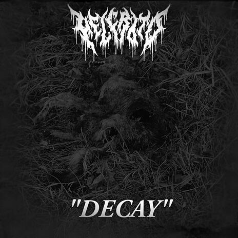 Decay | Boomplay Music