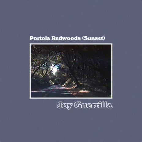 Portola Redwoods (Sunset) | Boomplay Music