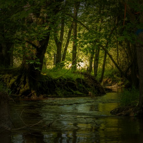 Sleeping Creek | Boomplay Music