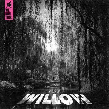 Willow | Boomplay Music