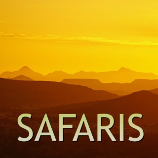 Safaris