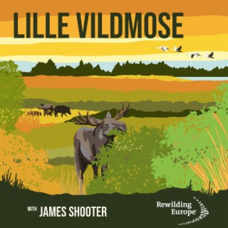 #9 Lille Vildmose - Denmark