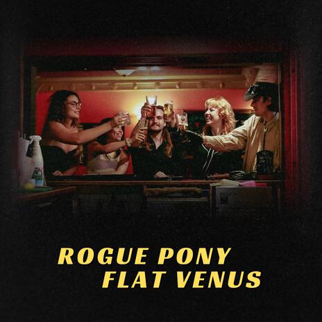 Rogue Pony | Boomplay Music