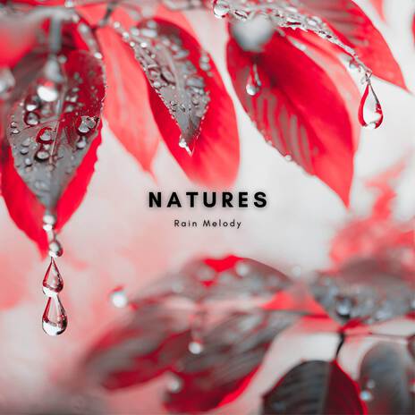 Endless Rainfall ft. Natures Rain Melody | Boomplay Music