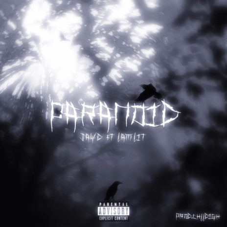 PARANOID ft. LamLit | Boomplay Music