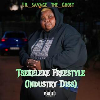 Tsekeleke Freestyle (Industry Diss)