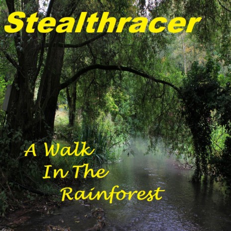 A Walk In The Rainforest | Boomplay Music