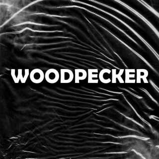 Woodpecker