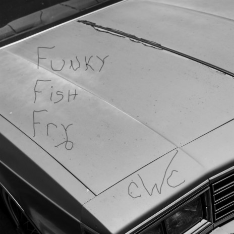 FunkyFishFry | Boomplay Music