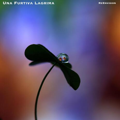 Una Furtiva Lagrima | Boomplay Music