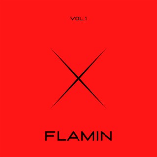 FLAMIN lyrics | Boomplay Music