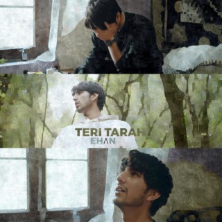 Teri Tarah lyrics | Boomplay Music
