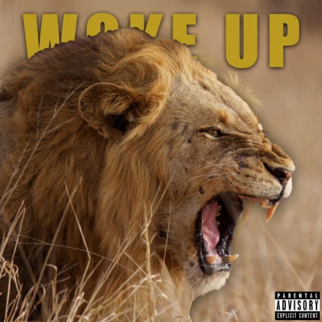 Woke Up | Boomplay Music