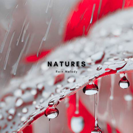 Soft Rain at Dawn ft. Natures Rain Melody | Boomplay Music