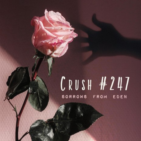 Crush #247 | Boomplay Music