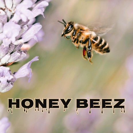 Honey Beez | Boomplay Music