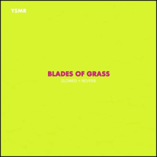 BLADES OF GRASS (SLOWED + REVERB)