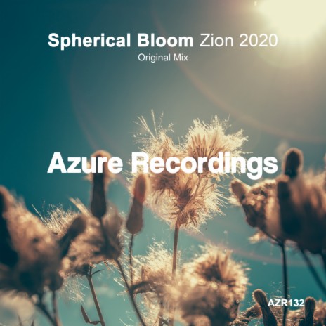 Zion 2020 (Original Mix)