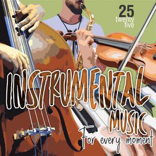 Instrumental Music For Every Moment Vol. 25