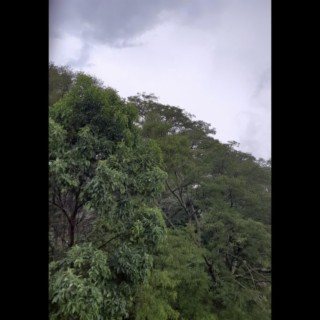 Sao Paulo Rainstorm