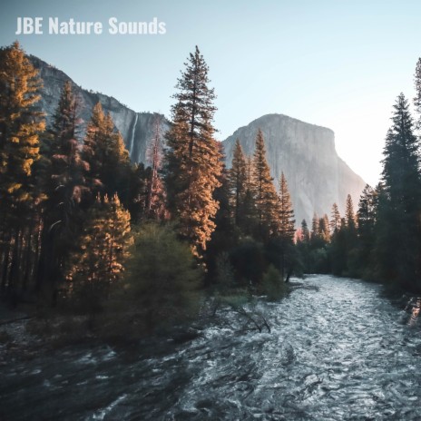 Gentle Stream Ambience | Boomplay Music