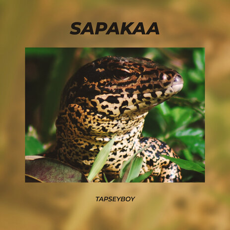 Sapakaa | Boomplay Music