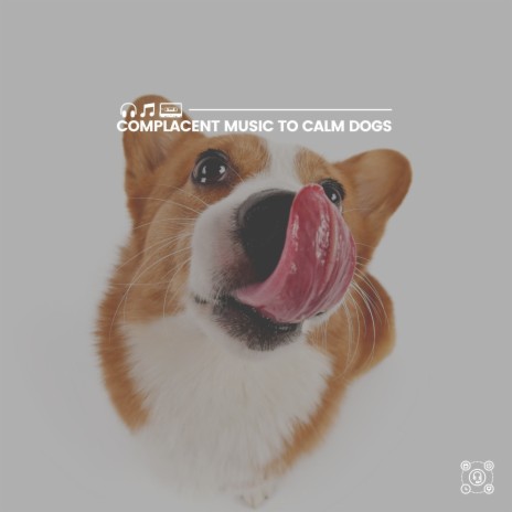 Calm Dog Music - A Soothing Music For My Furbabies MP3 Download ...