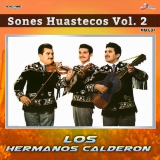 Sones Huastecos, Vol. 2