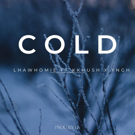 Cold ft. Kkhush & YNGH | Boomplay Music